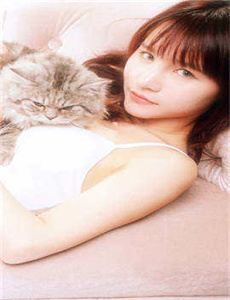 三颗星彩色冒险