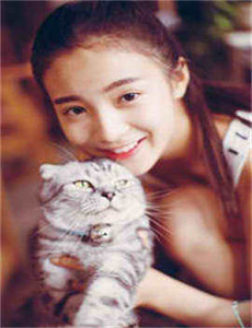 西游记2012动画版